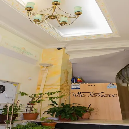 Tamara بوخارست